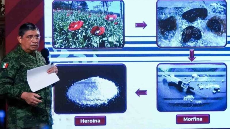 CÁRTELES EN MÉXICO PRODUCEN MÁS DROGAS SINTÉTICAS QUE TRADICIONALES: SEDENA