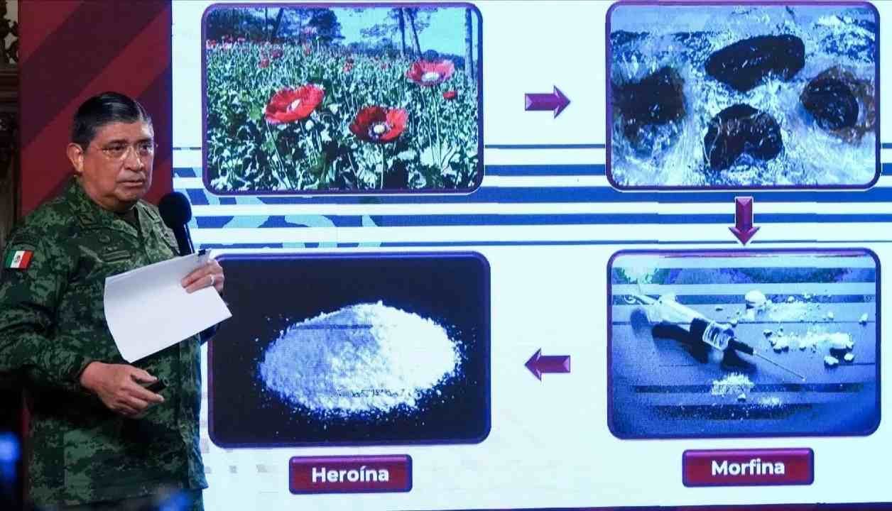 CÁRTELES EN MÉXICO PRODUCEN MÁS DROGAS SINTÉTICAS QUE TRADICIONALES: SEDENA