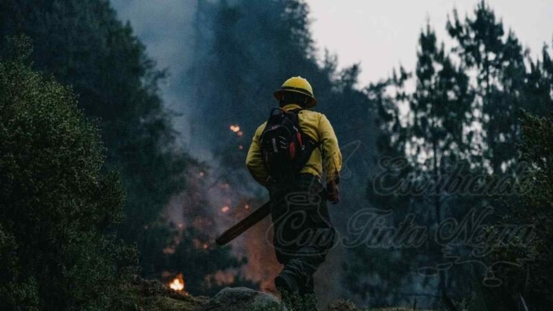 EMPRENDEN ACCIONES CONTRA INCENDIOS FORESTALES EN CALCAHUALCO