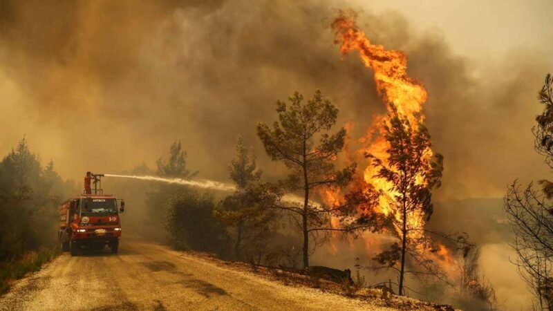 CIUDAD DE MÉXICO SUMA 511 INCENDIOS FORESTALES ESTE 2022