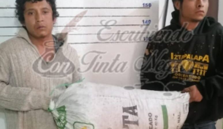 LOS SORPRENDEN ROBANDO CAFÉ