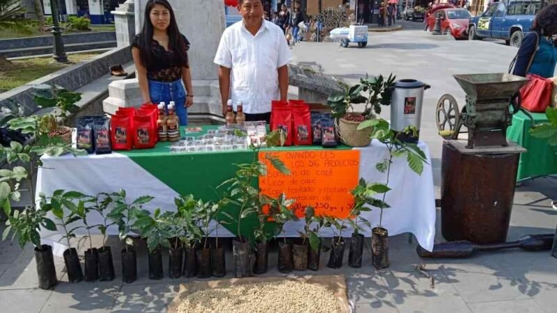 CELEBRAN FIN DE COSECHA DE CAFÉ EN CHOCAMÁN