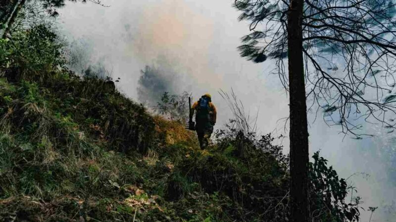 REPORTAN INCENDIOS EN COSCOMATEPEC