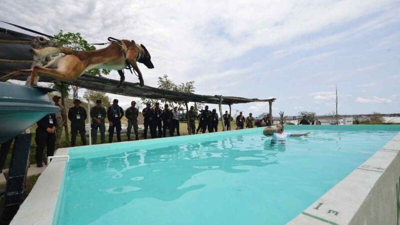 PRESENTAN AVANCES DE DIPLOMADO INTERNACIONAL TÁCTICO K9