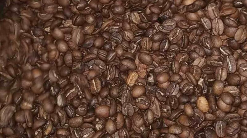 PARTICIPAN HUATUSQUEÑOS EN TAZA DE EXCELENCIA MÉXICO 2022