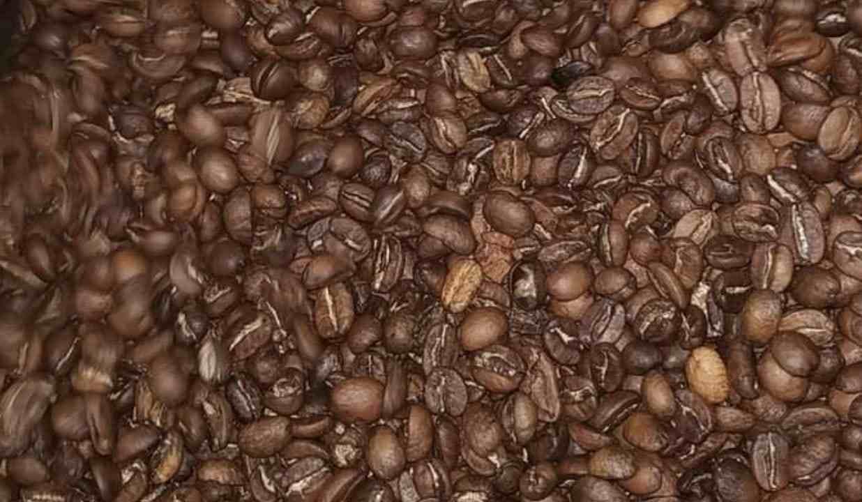 PARTICIPAN HUATUSQUEÑOS EN TAZA DE EXCELENCIA MÉXICO 2022