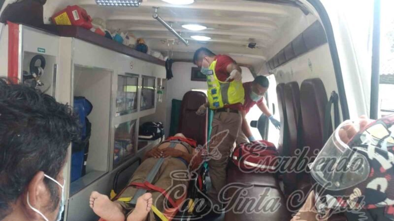 CAE HOMBRE DE LO ALTO DE UN ÁRBOL