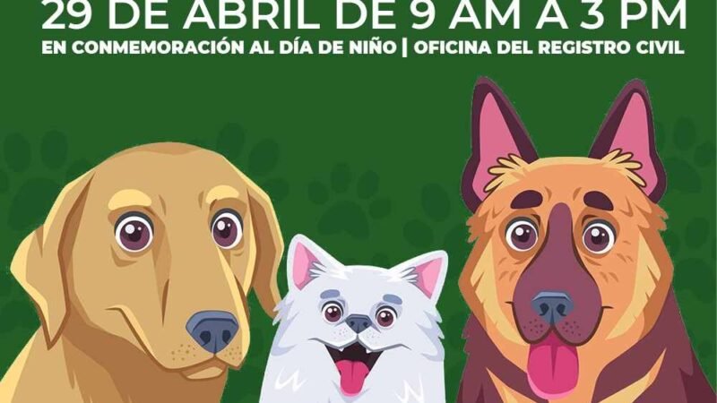 NIÑOS PODRÁN REGISTRAR A SUS MASCOTAS ANTE REGISTRO CIVIL