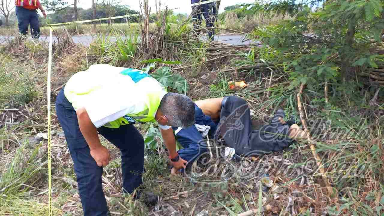 ATROPELLA Y MATA AUTO A PEATÓN