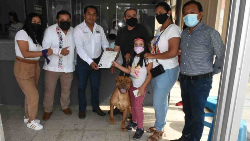 REGISTRAN 82 MASCOTAS EN CAMPAÑA DE REGISTRO