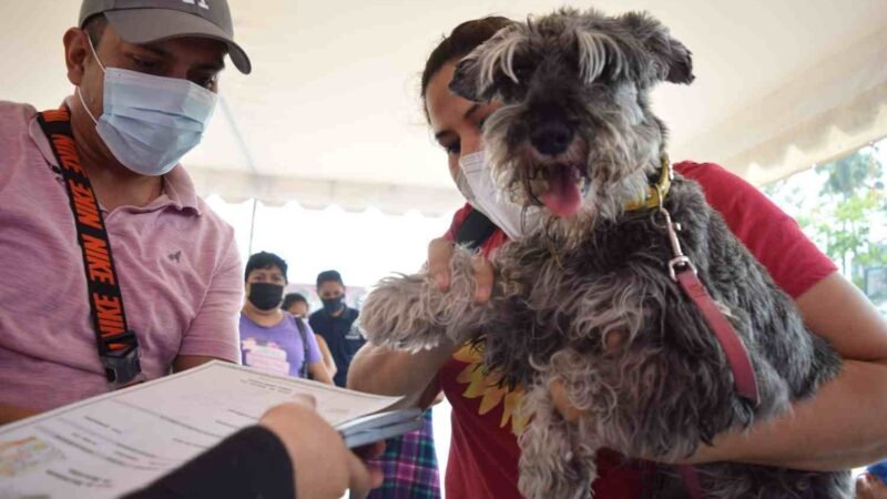 RECIBEN 415 MASCOTAS SU ACTA DE NACIMIENTO DURANTE JORNADA DE REGISTROS