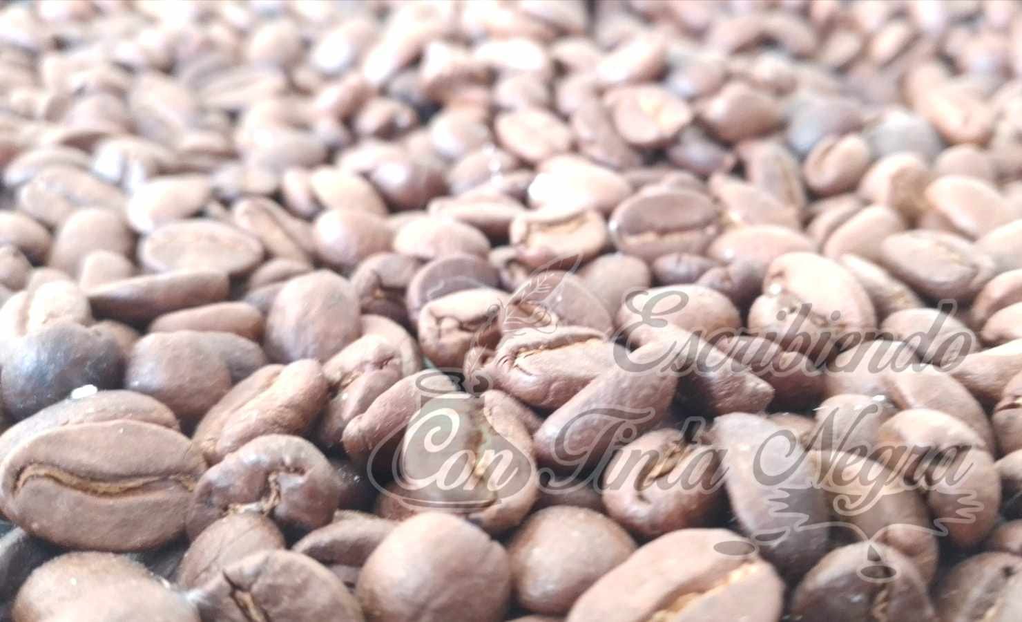 PARTICIPARÁ HUATUSCO EN CUARTO ENCUENTRO NACIONAL DEL CAFÉ