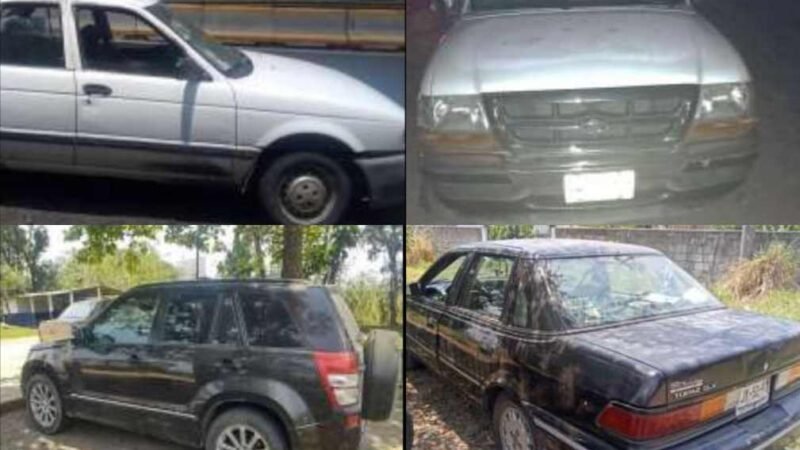 ASEGURA SSP 15 VEHÍCULOS