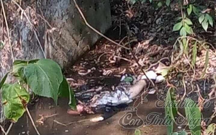 SE LANZA DEL PUENTE DEL METLAC