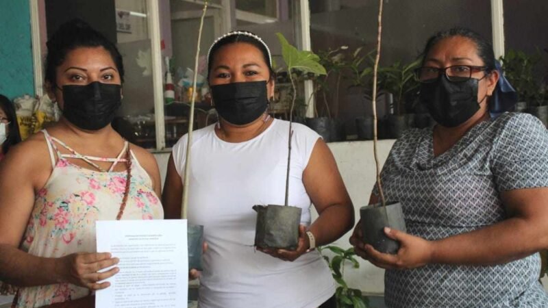 AYUNTAMIENTO DE ATOYAC ARRANCA PROGRAMA PARA REFORESTAR EL MUNICIPIO