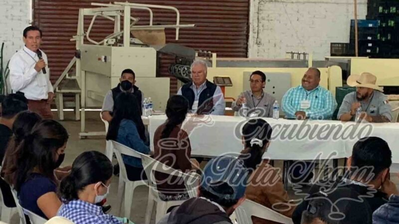 EMPRENDEN ACCIONES CONTRA PLAGAS EN AGUACATE