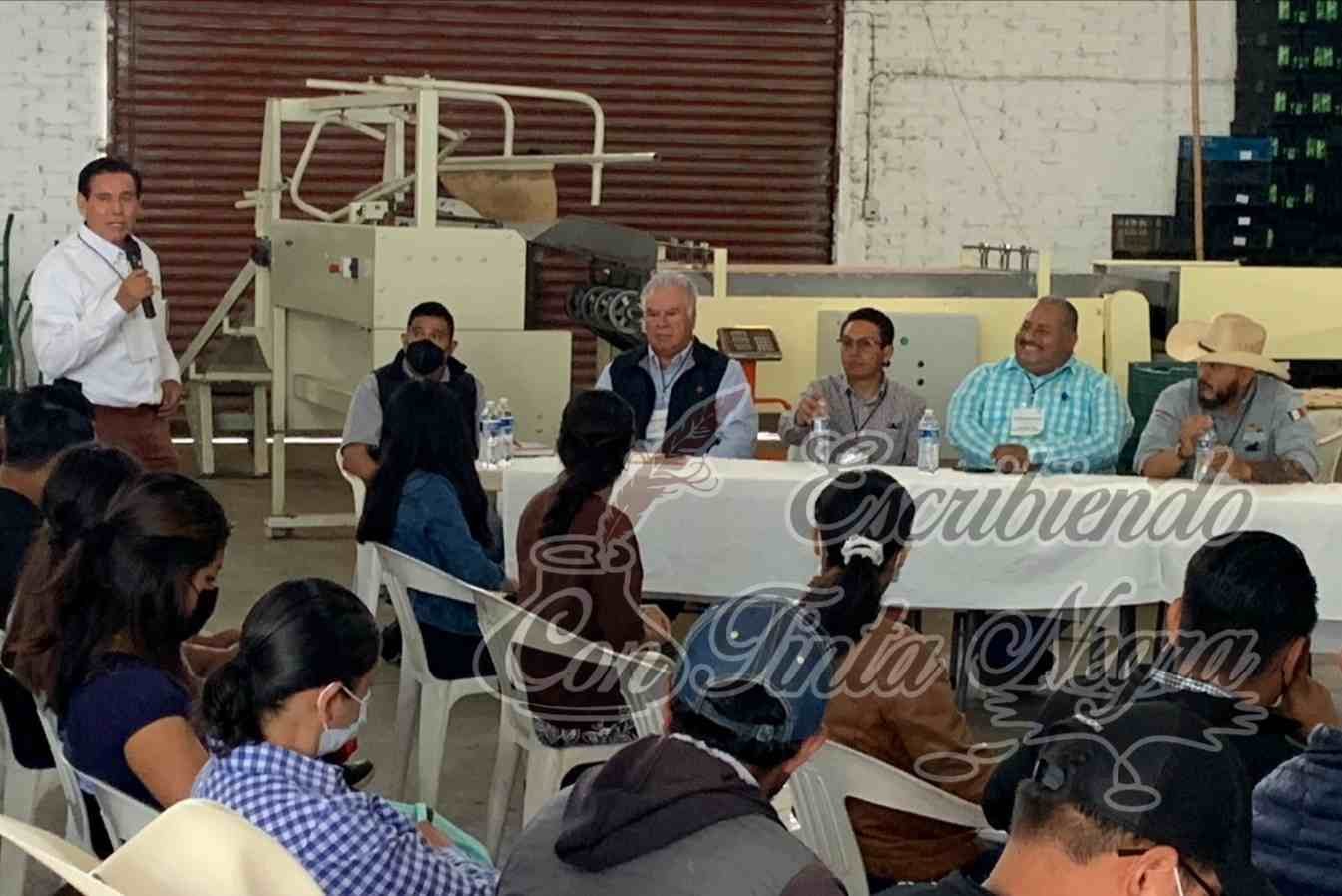 EMPRENDEN ACCIONES CONTRA PLAGAS EN AGUACATE