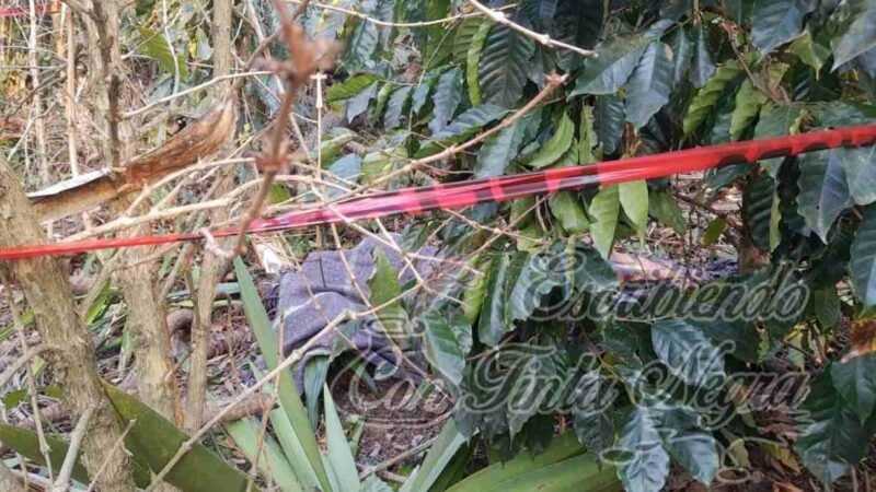 MUERE CAMPESINO AL CAER DE ÁRBOL