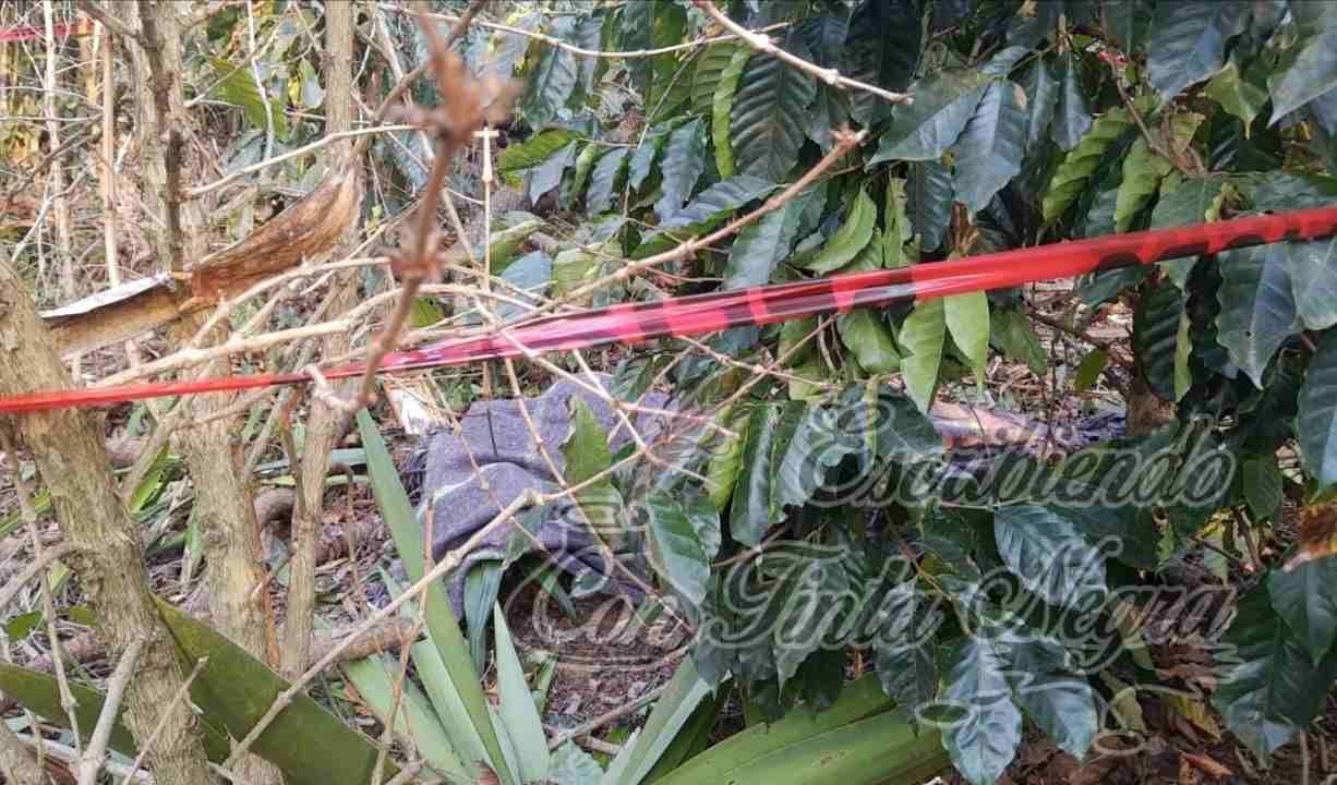 MUERE CAMPESINO AL CAER DE ÁRBOL