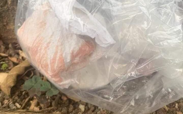 INVESTIGAN PRESUNTO CASO DE ABUSO DE MENOR EN PARQUE DE SAN JOSÉ