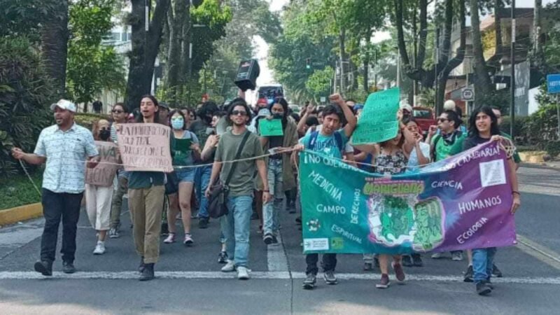 MARCHAN PARA EXIGIR LEGISLACIÓN DE LA MARIGUANA