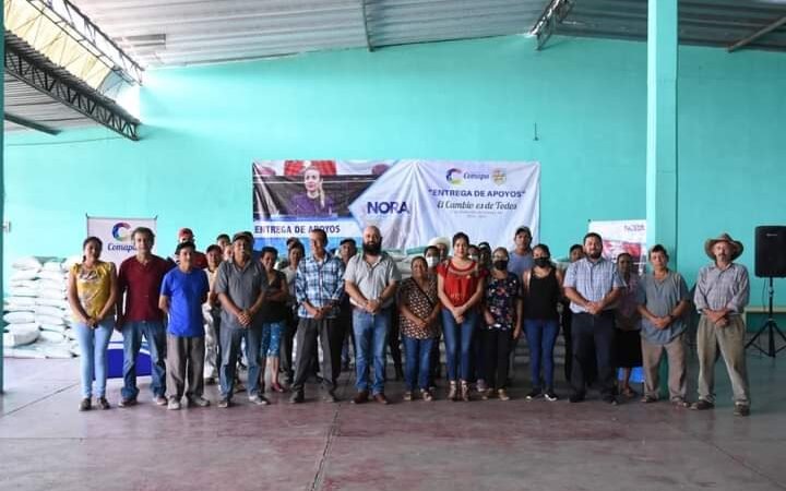 LLEVA GABRIEL LAGUNES FERTILIZANTE A PRODUCTORES DE LA CABECERA MUNICIPAL