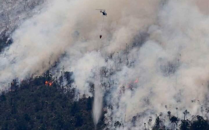 SUMAN 200 INCENDIOS EN LO QUE VA DEL AÑO
