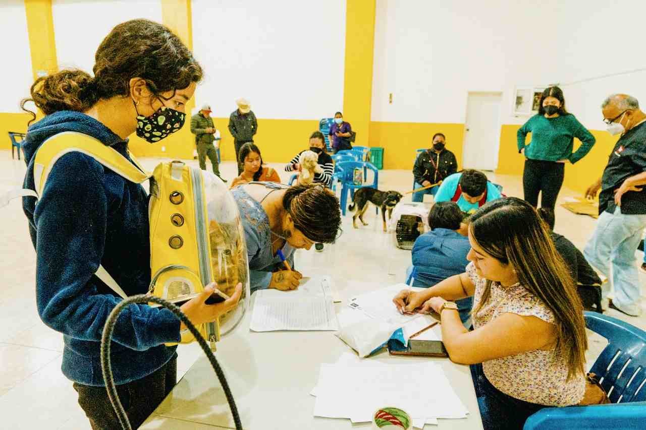 ESTERILIZAN A CANINOS Y FELINOS EN COSCOMATEPEC