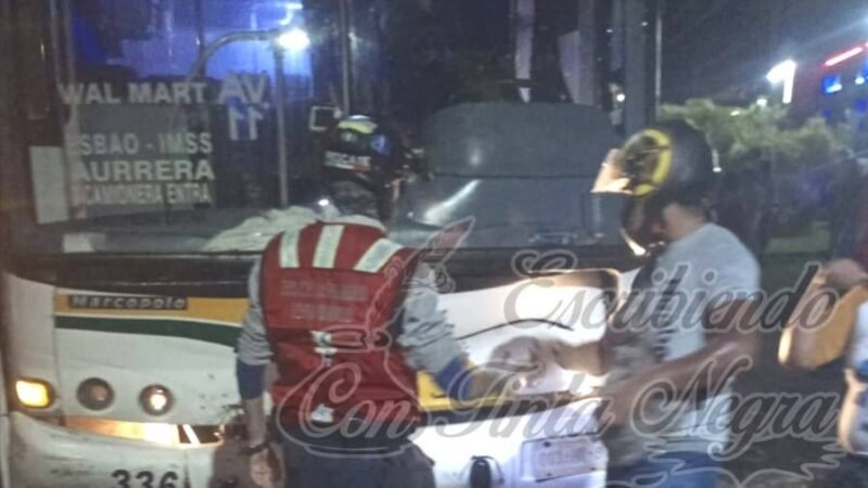 LE CAE ÁRBOL ENCIMA A TERRANOVA