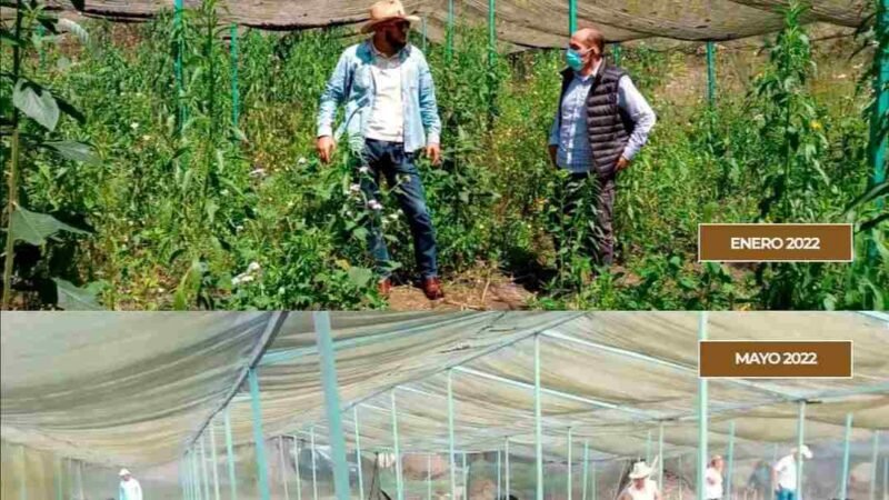 REACTIVAN VIVERO DE HUATUSCO