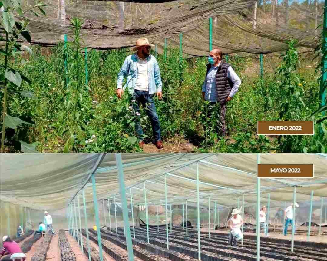 REACTIVAN VIVERO DE HUATUSCO