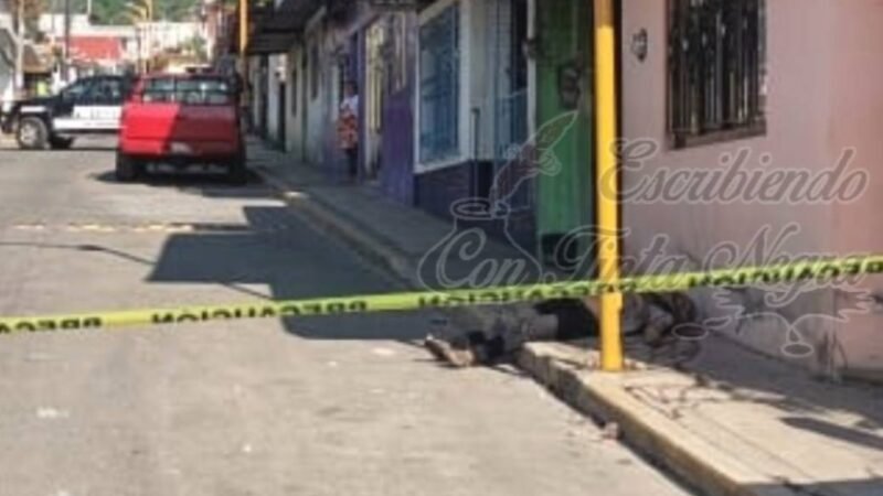 MUERE “ESCUADRÓN” EN LA VÍA PÚBLICA