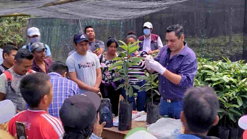 CAPACITAN A PRODUCTORES DE CÓRDOBA SOBRE INJERTO DE ÁRBOLES FRUTALES