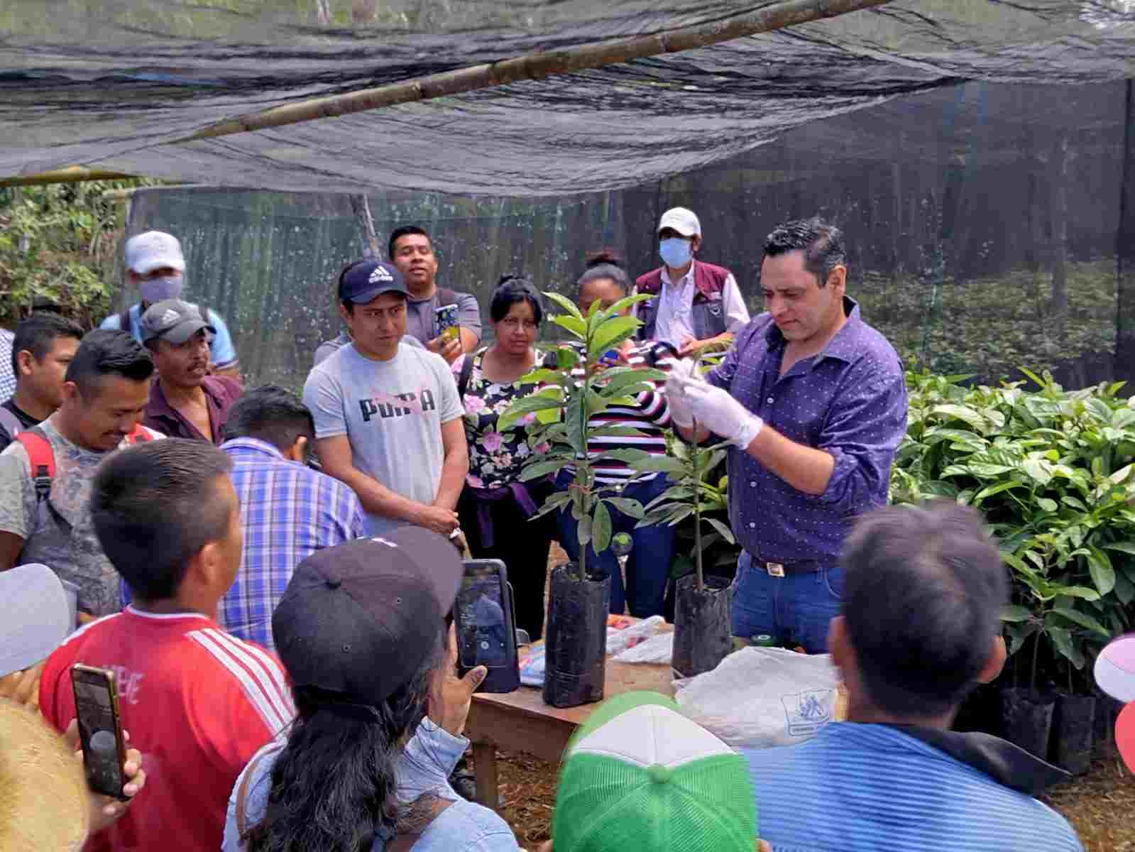 CAPACITAN A PRODUCTORES DE CÓRDOBA SOBRE INJERTO DE ÁRBOLES FRUTALES