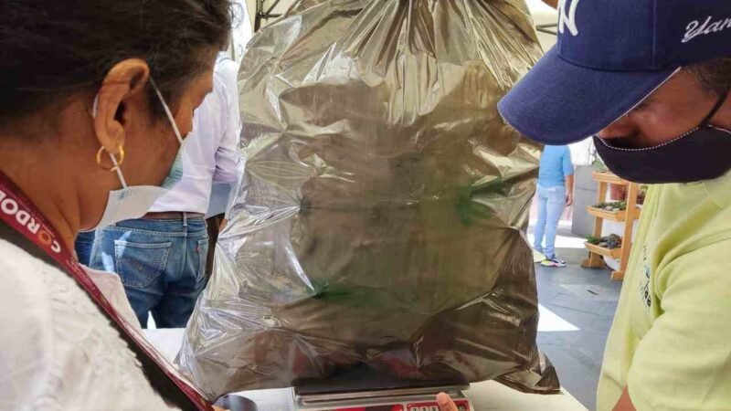 MANTIENE ACTIVO ECOLOGÍA Y MEDIO AMBIENTE CENTRO DE ACOPIO EN SAN JOSÉ