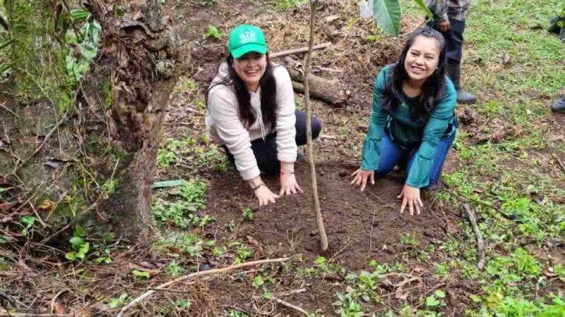 REALIZAN PRIMERA JORNADA DE REFORESTACIÓN