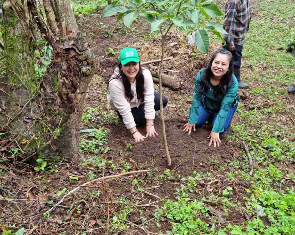 REALIZAN PRIMERA JORNADA DE REFORESTACIÓN