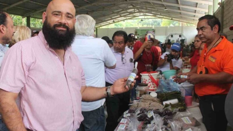 REALIZAN TIANGUIS AGROECOLÓGICO EN COMAPA