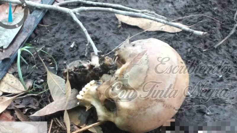 ENCUENTRAN OSAMENTA