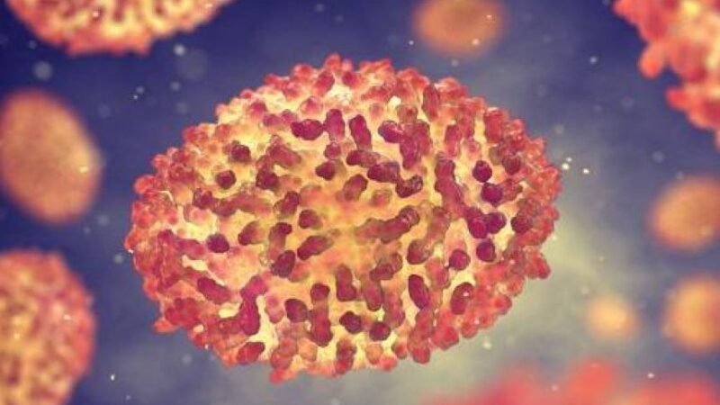 SE HAN REGISTRADO MÁS DE MIL 190 CASOS DE VIRUELA DEL MONO EN ESPAÑA