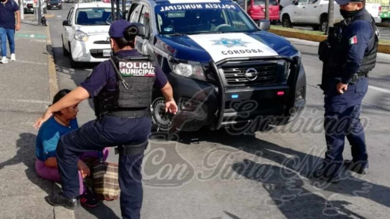 TIRA OPERADOR DE TERRANOVA A MUJER