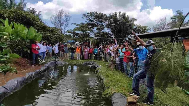 BUSCAN CREAR GRANJAS DE MOJARRA EN IXHUATLÁN