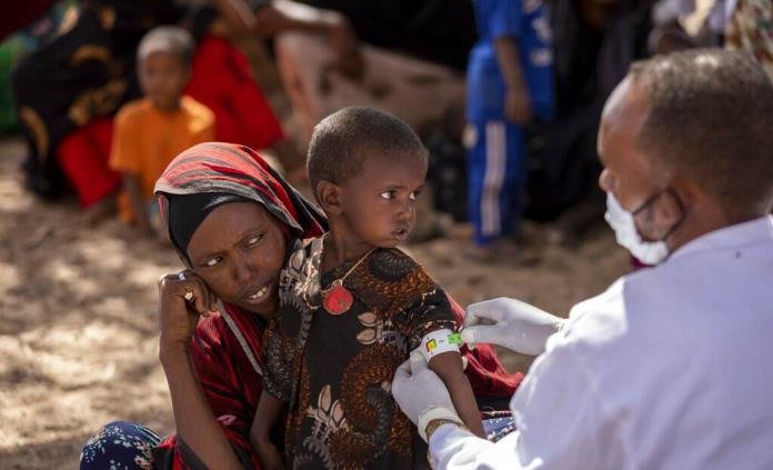 OMS ALERTA AUMENTO DE BROTES ZOONÓTICOS EN ÁFRICA EN ÚLTIMA DÉCADA
