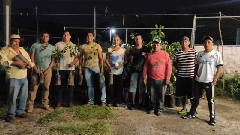 ENTREGAN MÁS DE 3 MIL ÁRBOLES FRUTALES