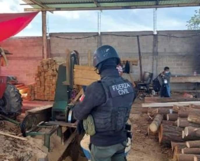 CIERRAN ASERRADERO CLANDESTINO