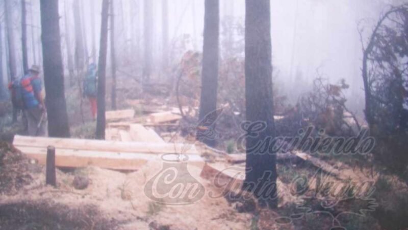 PERSISTE TALA CLANDESTINA EN PICO DE ORIZABA