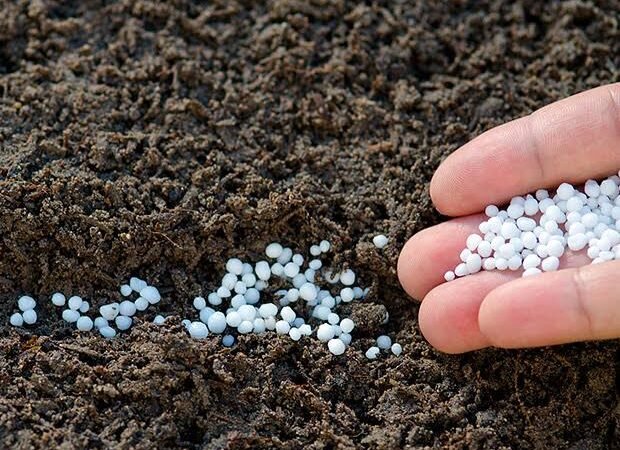 FERTILIZANTES, POR LAS NUBES
