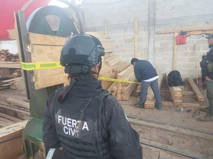 CLAUSURAN 5 ASERRADEROS EN COFRE DE PEROTE