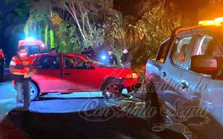 VUELCA POINTER EN TOMATLÁN