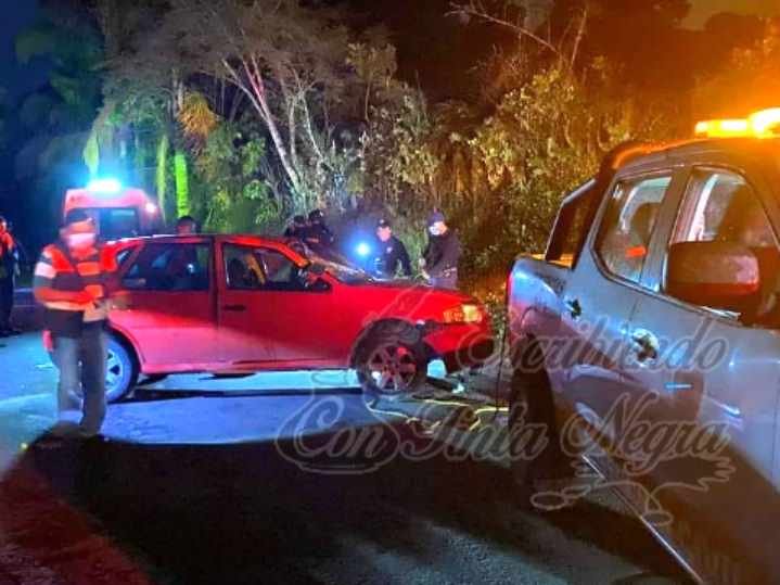 VUELCA POINTER EN TOMATLÁN